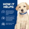 Hills Canine Derm Complete - Puppy Dry Food 