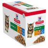 Hills Kitten Variety Box  