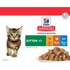 Hills Kitten Variety Box  