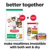 Hills Kitten Variety Box  