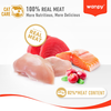 Wanpy Cat Pouch - Chicken Stew 