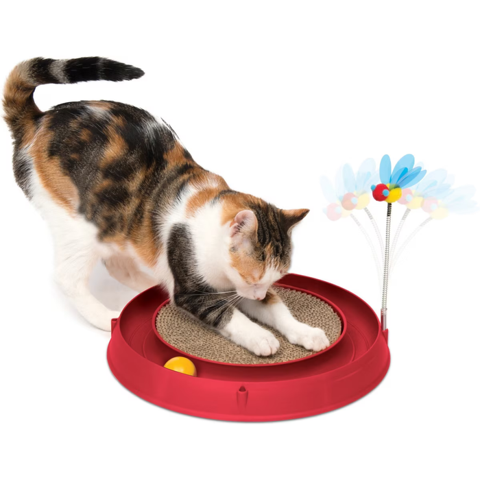 Catit Play & Scratch
