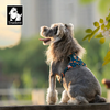 Reflective Harness - Small Breeds
