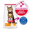 Science Diet Light Cat