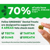 Greenies Feline Dental Chew - Catnip