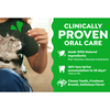 Greenies Feline Dental Chew - Catnip