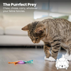 Kitty Dental Wheel 