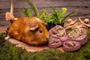 Small Animal Treat - Butterfly Feeder 