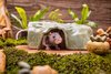 Small Animal Treat - Log Hideout