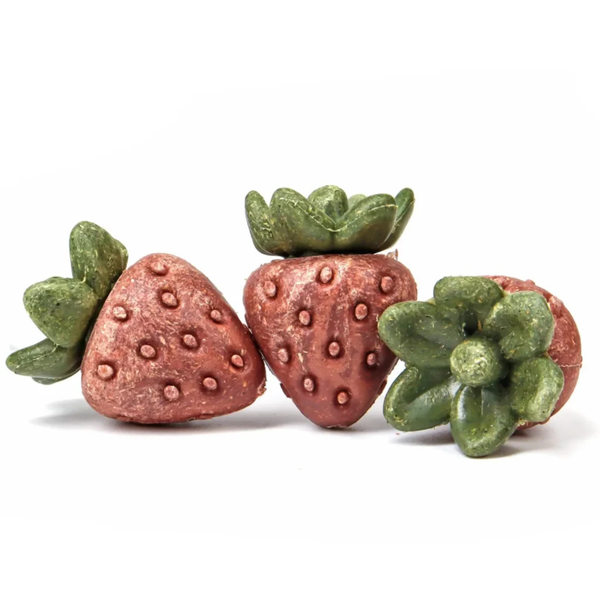 Small Animal Treat - Strawberries 3pcs