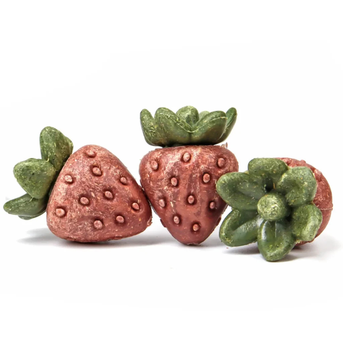 Small Animal Treat - Strawberries 3pcs