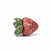 Small Animal Treat - Strawberries 3pcs