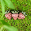 Small Animal Treat - Strawberries 3pcs