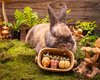 Small Animal Treat - Vegetable Basket 4pcs