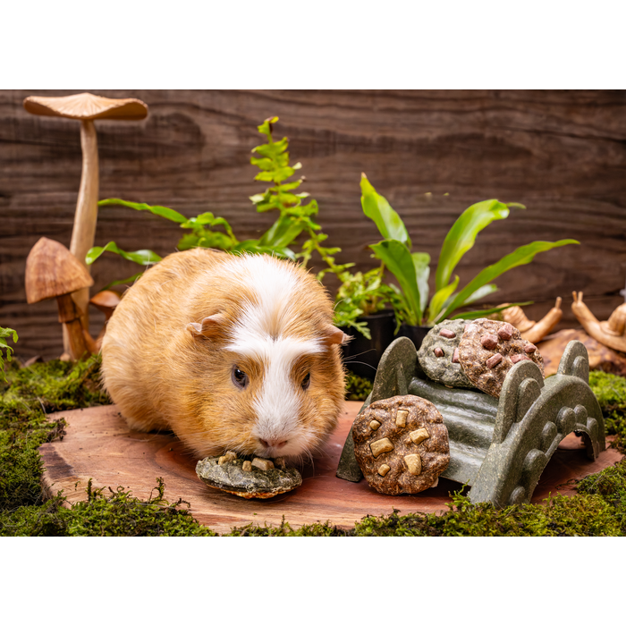 Small Animal Treat - Cookies Large 2pcs