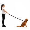 Zero Shock Leash