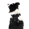 EzyDog Drive Harness