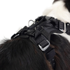 EzyDog Drive Harness
