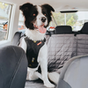 EzyDog Drive Harness