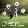 Ziwi Peak Canned Chicken & Mackerel Cat Food - 185g