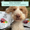 Woof Wild Goat Freeze Dried Dog Food