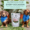 Woof Chicken Freeze Dried Dog Bites