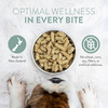 Woof Beef Freeze Dried Dog Food