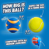 ChuckIt! Medium Ultra Squeaker Ball - 2pk