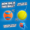 Chuckit! Medium Ultra Ball - 2pk