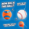 Chuckit! Large Ultra Ball - 1pk