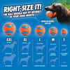 Chuckit! Large Ultra Ball - 1pk