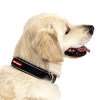 Neo Classic Collar 