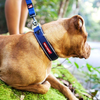 Neo Classic Collar 