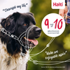 Halti Size 4