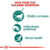 Instinctive Cat 7+ Gravy