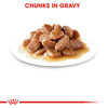 Instinctive Cat 7+ Gravy
