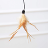 PetPals Cat Scratcher Midnight Molly