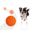 AFP Wag Play - Waggy Bouncing Ball