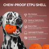 AFP Wag Play - Waggy Bouncing Ball