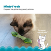 Fresh Breath Mint Stick 