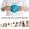 AFP Wag Play - Tug Ball 