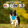 AFP Wag Play - Tug Ball 