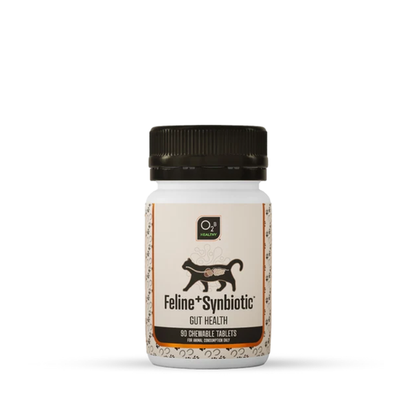 O2B Feline+ Synbiotic