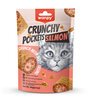 Wanpy Salmon Crunchy Pockets 
