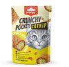 Wanpy Catnip Crunchy Pockets 