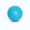 Coachi Boomi Ball 