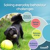 Coachi Boomi Ball 
