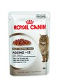 Ageing 12+ Cat Jelly