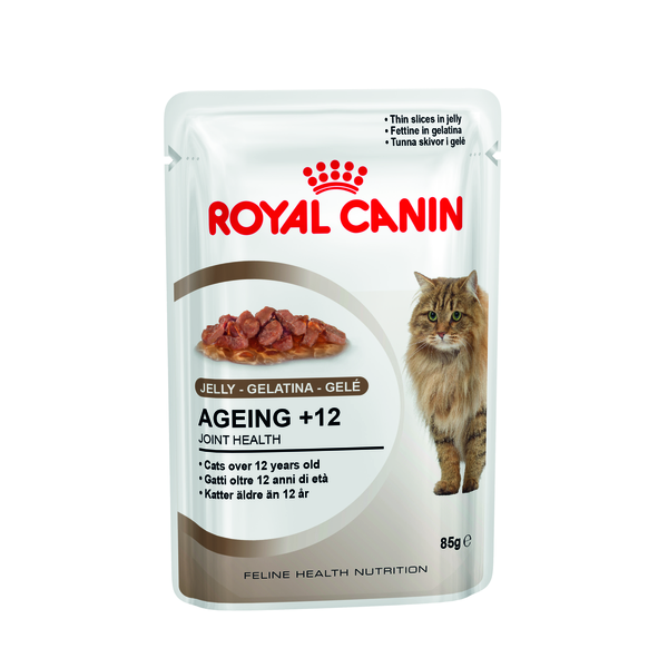 Ageing 12+ Cat Jelly
