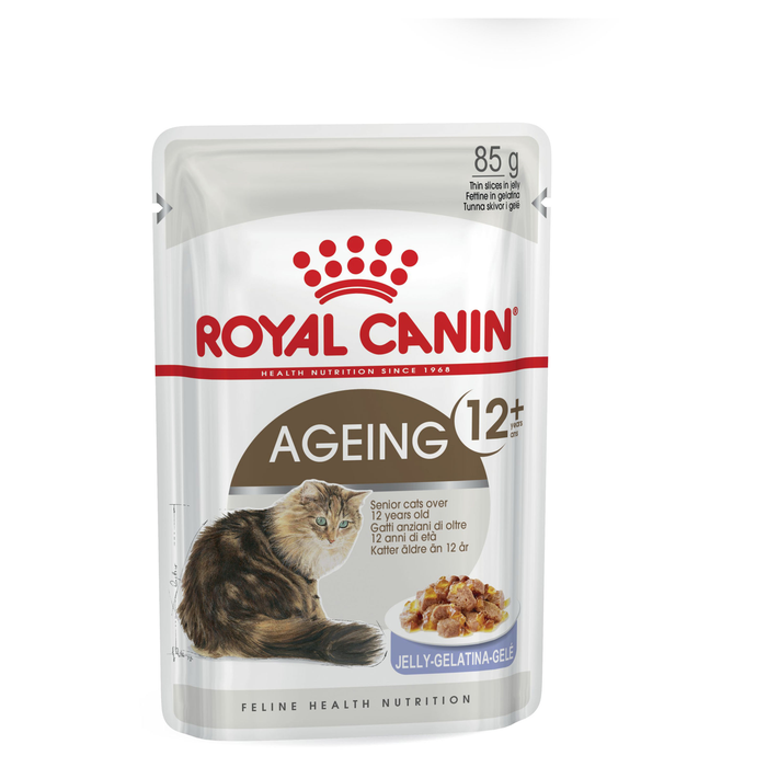 Ageing 12+ Cat Jelly